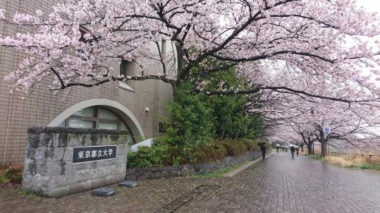 东京都立大学相当于国内什么学校？