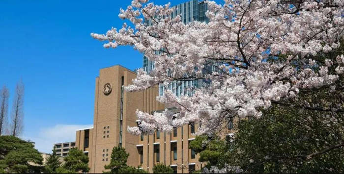 如何申请日本多摩大学？